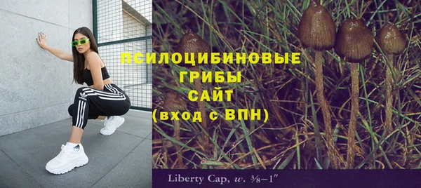 дживик Абинск