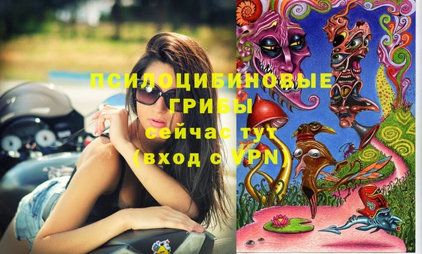 дживик Абинск