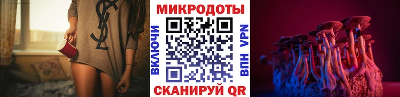Псилоцибиновые грибы Psilocybine cubensis  цены   Вологда 
